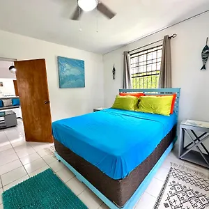 Ultimate Xscape Apartment Christ Church